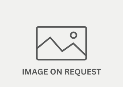 Sesen – Nepean Sea Road